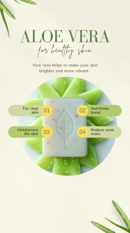 Fresh Aloe Vera Face + Body bar (Medium bar)