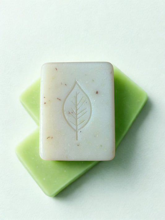 Fresh Aloe Vera Face + Body bar (Medium bar)